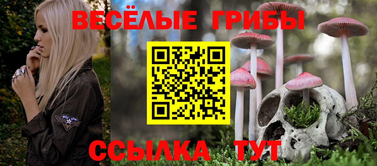 Псилоцибиновые грибы Psilocybine cubensis  Вход с VPN  Феодосия 